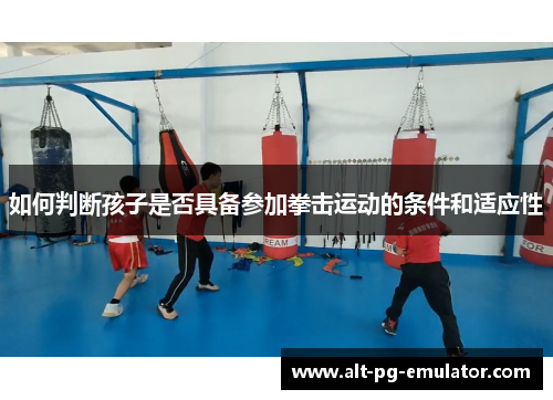 如何判断孩子是否具备参加拳击运动的条件和适应性
