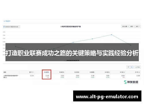 打造职业联赛成功之路的关键策略与实践经验分析