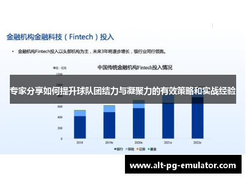 专家分享如何提升球队团结力与凝聚力的有效策略和实战经验