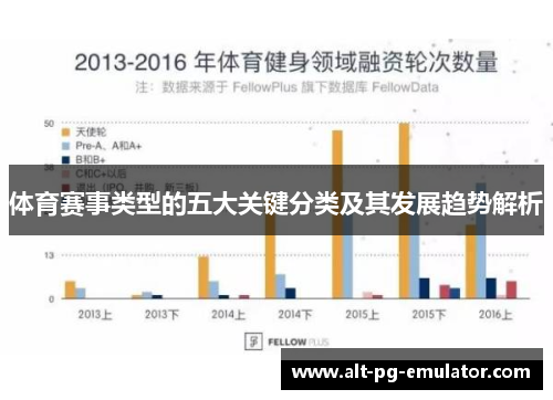 体育赛事类型的五大关键分类及其发展趋势解析